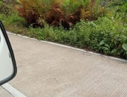 Garbeta dan LSM Lidik Kawal Aspirasi Penolakan Sawit di Enggano, Soroti Dugaan Pembiaran