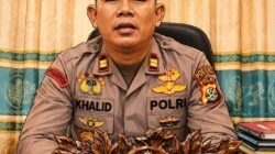 Anjing Liar dan Hewan Ternak Berkeliaran Jadi Perhatian Warga Pulau Enggano, Masyarakat Harapkan Penanganan Bersama